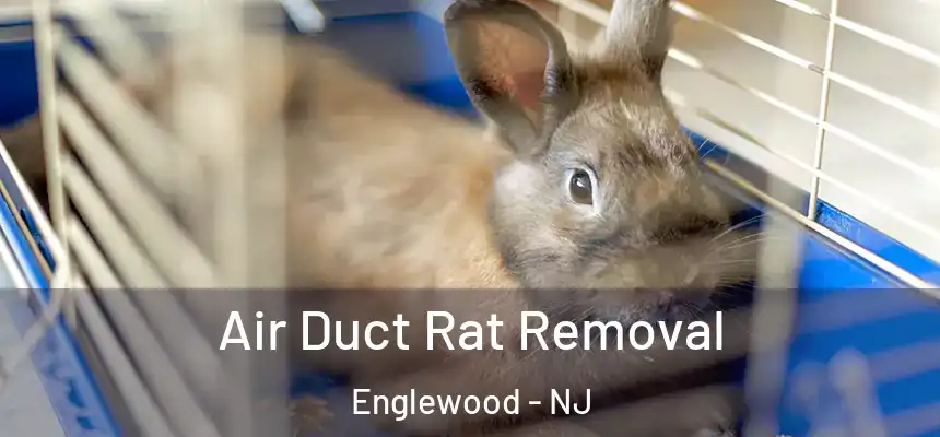 Air Duct Rat Removal Englewood - NJ