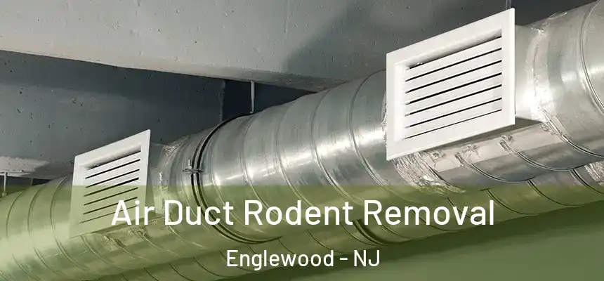 Air Duct Rodent Removal Englewood - NJ