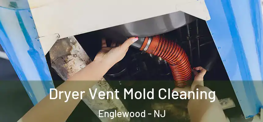  Dryer Vent Mold Cleaning Englewood - NJ