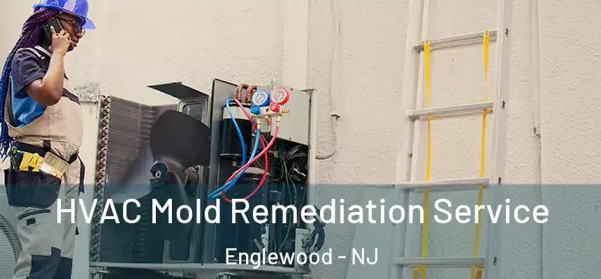  HVAC Mold Remediation Service Englewood - NJ