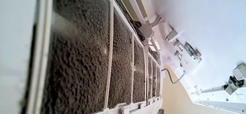 Preventive Air Duct Bacteria Removal in Englewood