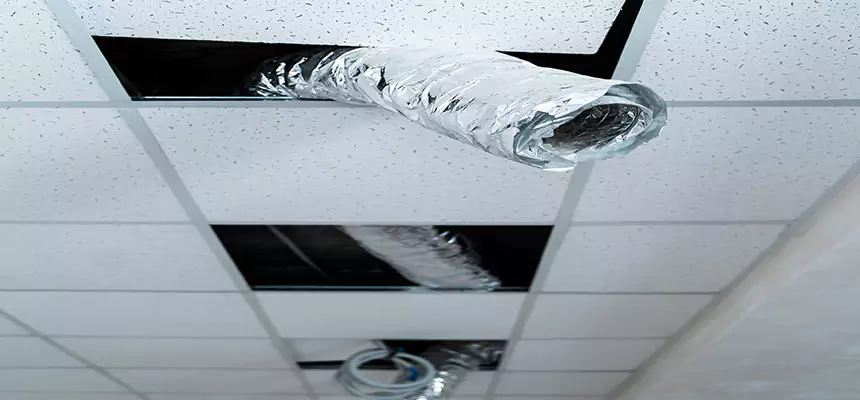 Affordable HVAC Sanitizing After Pest Removal in Englewood