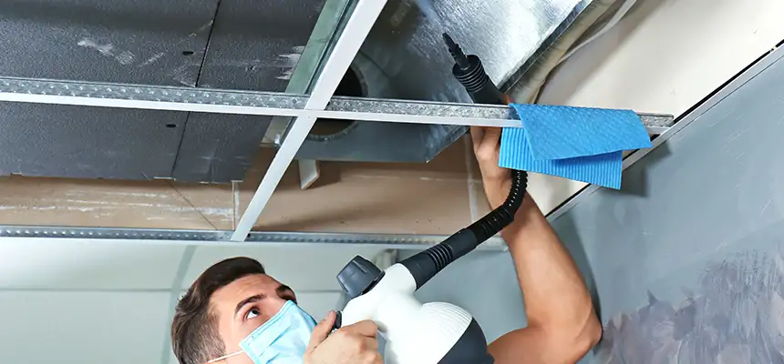 Our Air Duct Rodent Removal Services in Englewood, NJ
