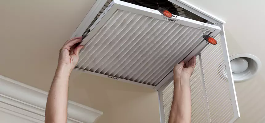 Our Insect Removal from Air Ducts Services in Englewood, NJ