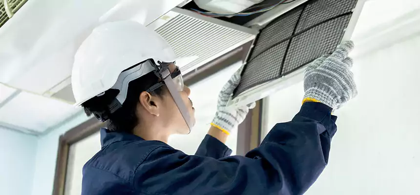 Our Mold & Mildew Removal from Air Ducts Services in Englewood, NJ