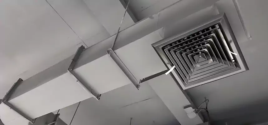 Our Pest Removal From Ducts Services in Englewood, NJ