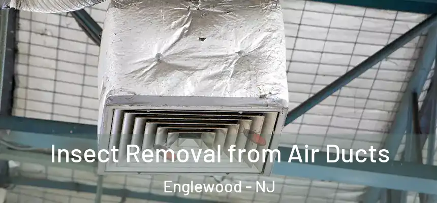 Insect Removal from Air Ducts Englewood - NJ