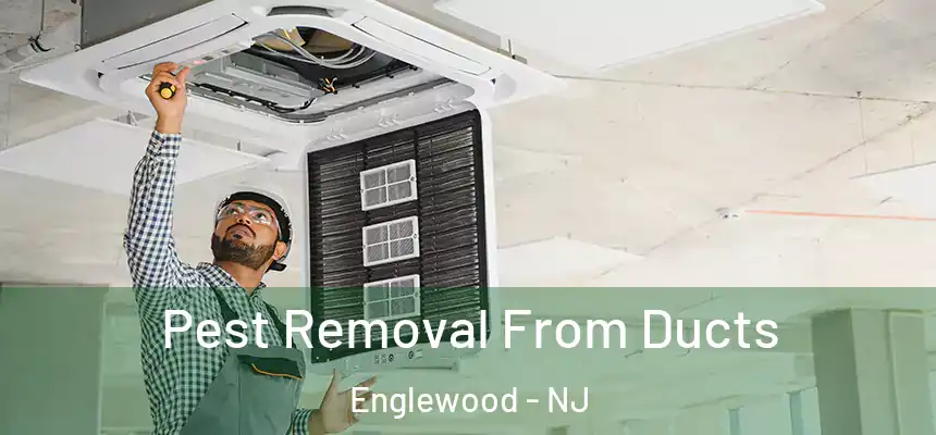 Pest Removal From Ducts Englewood - NJ