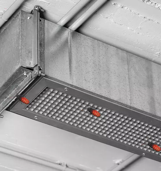 About Air Duct Cockroach Removal in Englewood, NJ