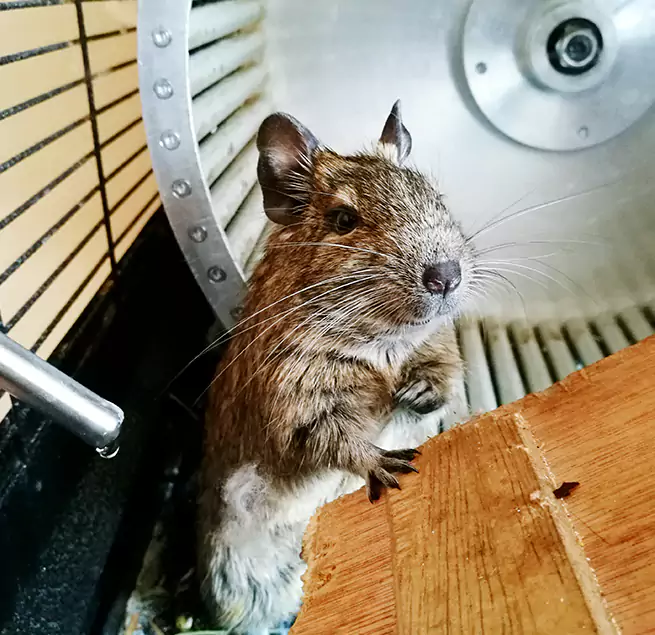 Why Homeowners & Businesses Trust Us Englewood, NJ